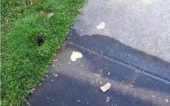 איתור נזילות מים בחצר הבית או בגינה