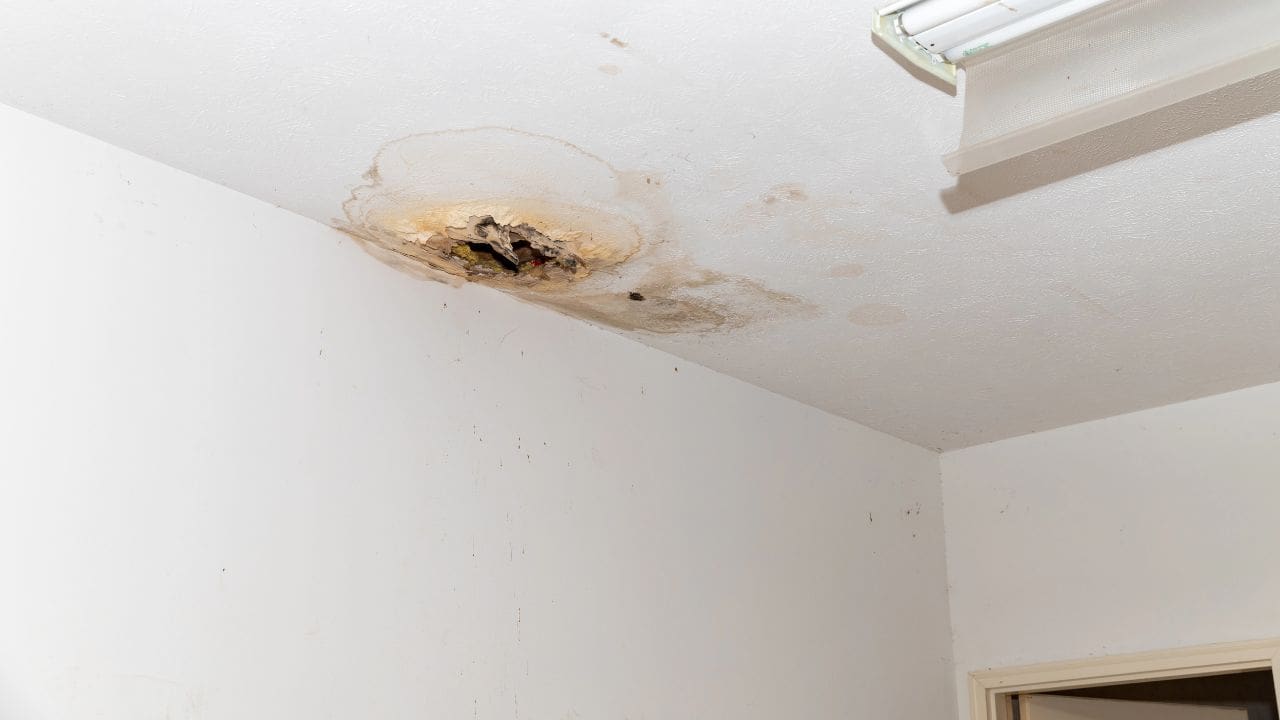 איך מזהים נזילות מים בבית