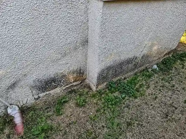 סימני השחרה ורטיבות בבסיס קיר חוץ בבית פרטי סמוך לגינה ולקרקע